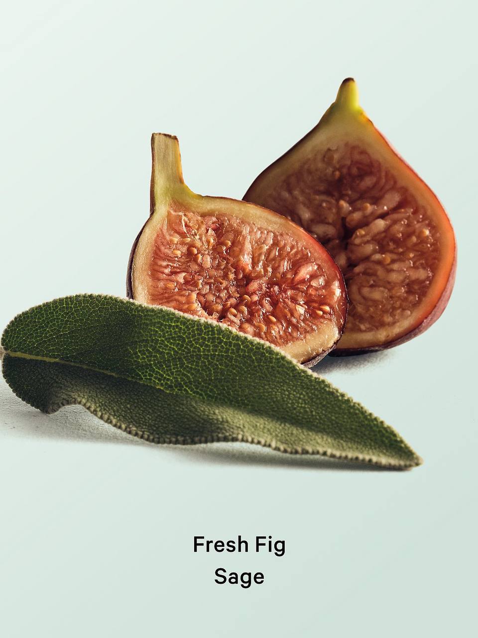 بطری اسپری Fresh Fig Sage ویکتوریا سکرت، نمای برچسب رایحه - دارامُد