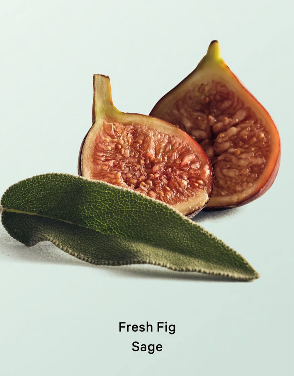 ویکتوریا سکرت Fresh Fig Sage بادی لوشن ۲۹۶ میلی‌لیتر — نمای کنار محصولات هم‌لاین — دارامُد