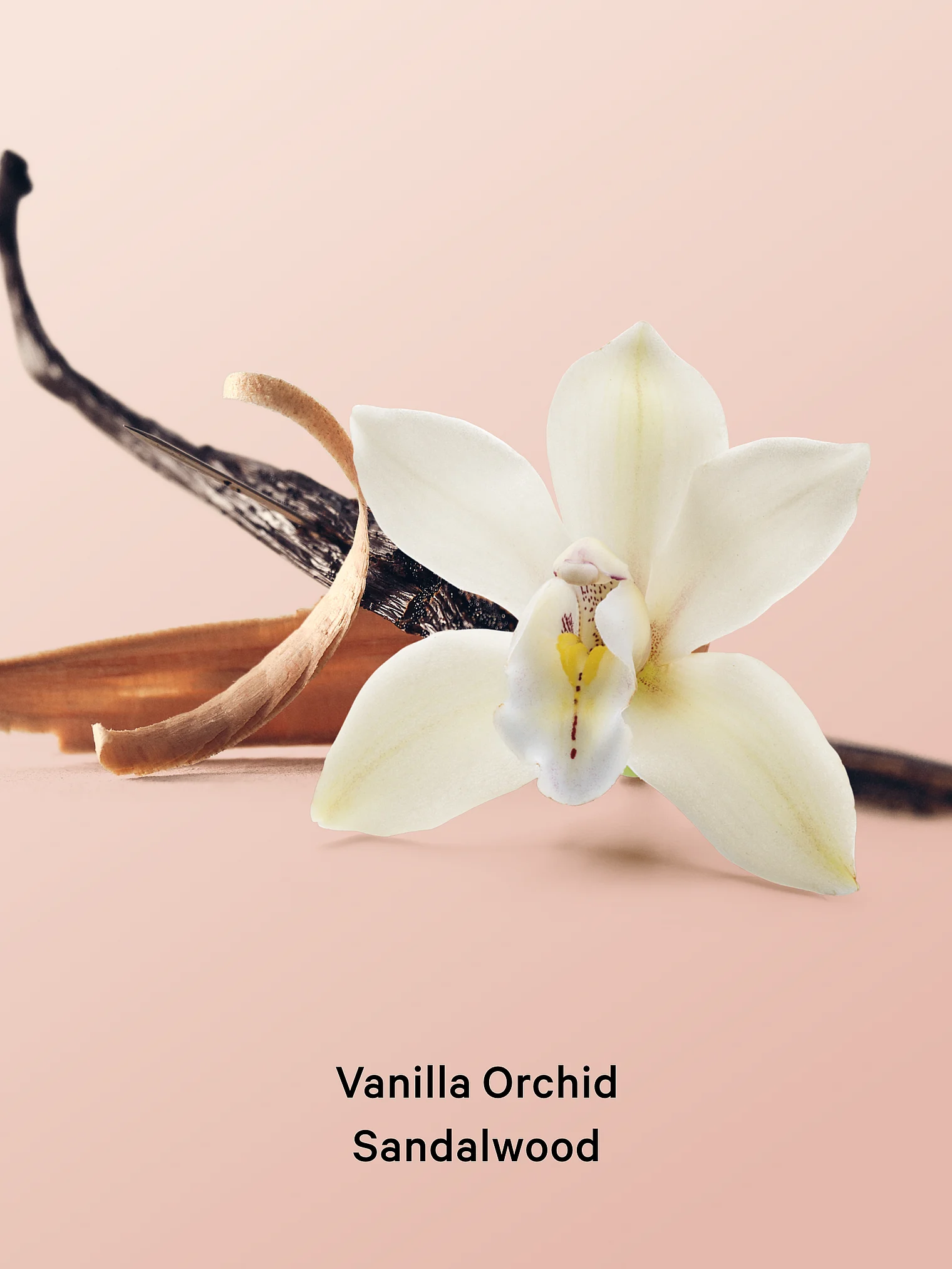 پک کادویی Vanilla Orchid Sandalwood بادی میست و لوشن ویکتوریا سکرت
