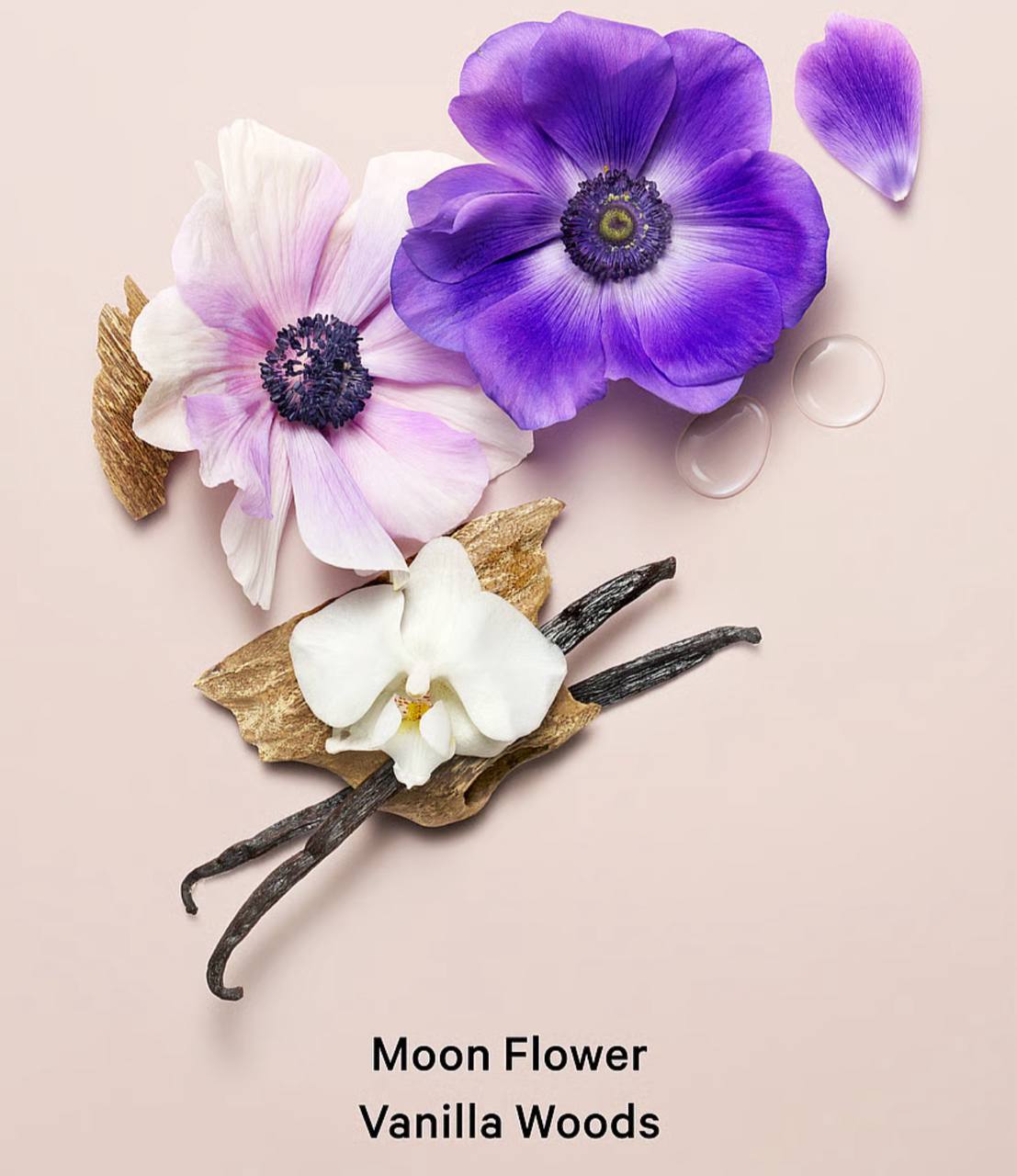 ویکتوریا سکرت بادی میست Midnight Bloom پکیجینگ جدید، نمای کنار بطری — دارامُد