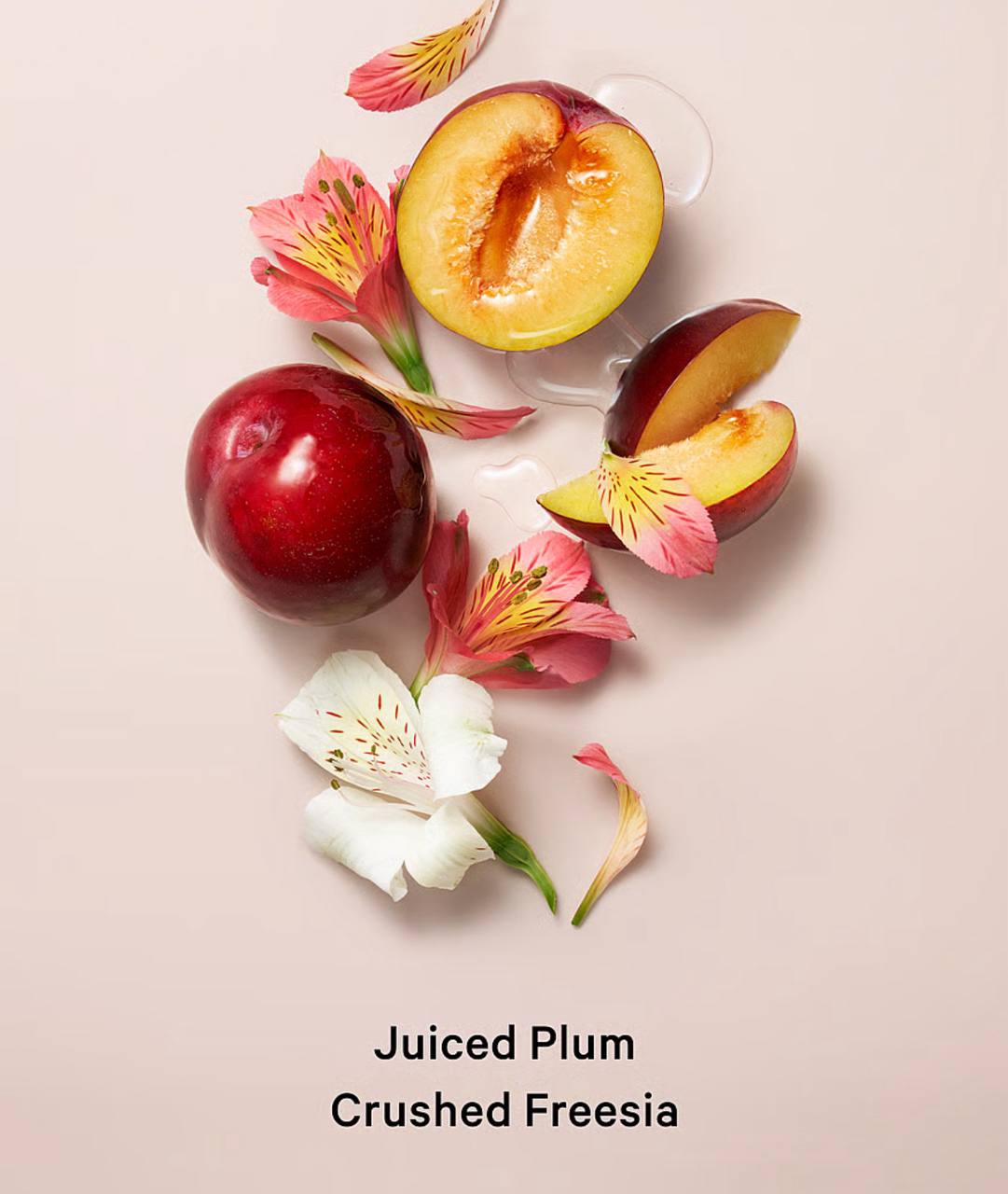 ویکتوریا سکرت Pure Seduction، نمای نزدیک درپوش و برچسب تیوپ لوسیون بدن — دارامُد