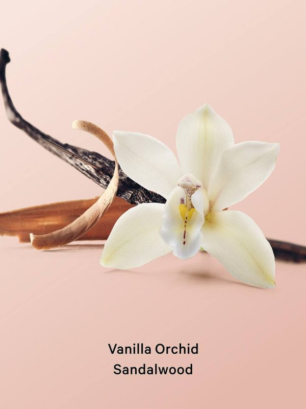بادی لوشن Vanilla Orchid sandalwood ویکتوریا سکرت - تصویر 2