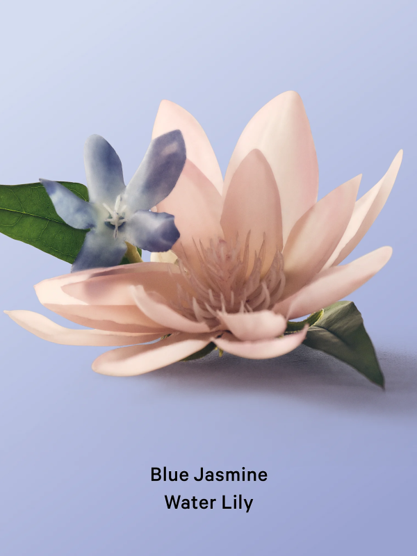 اسپری بدن و مو Blue jasmine water lily ویکتوریا سکرت - تصویر 3