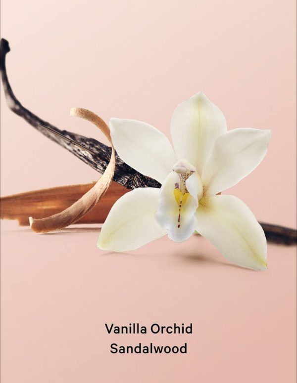 اسکراب بدن vanilla orchid sandalwood ویکتوریا سکرت - تصویر 2